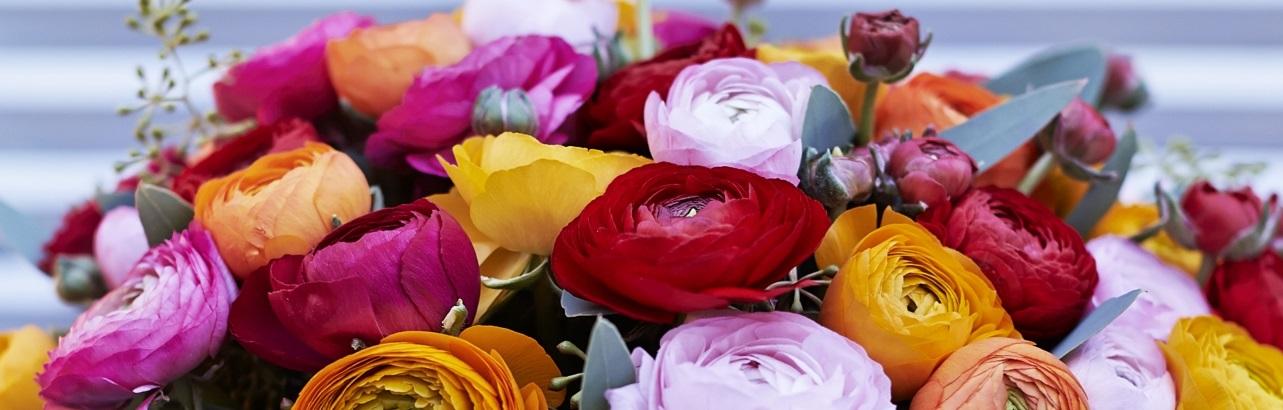 Blomsternavne
